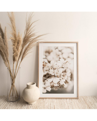 Plakát HYDRANGEA DRIED nr.2
