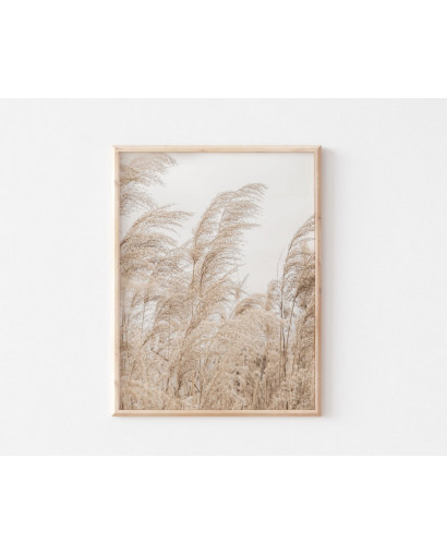 Plakát PAMPALICIOUS