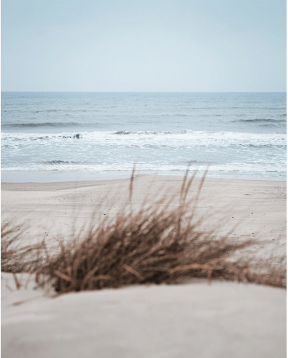 Plakát BEACH GRASS