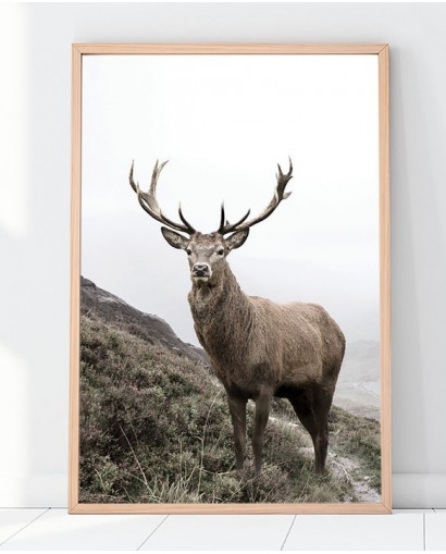 Plakát DEER nr.1