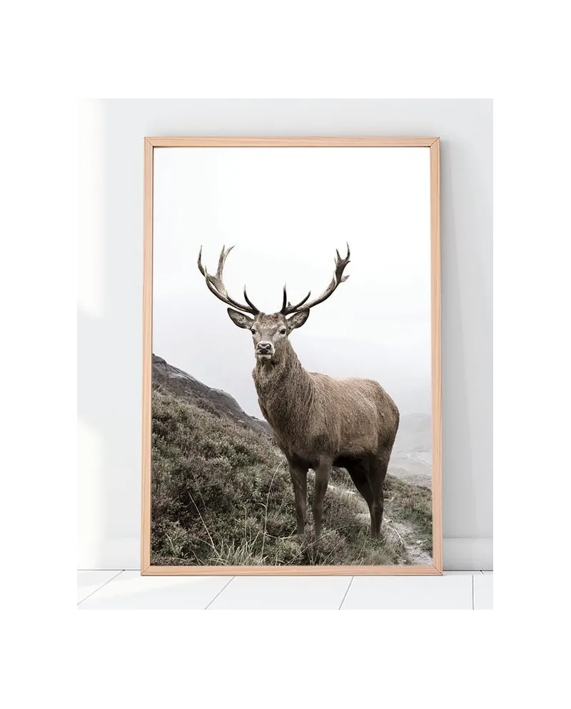 Plakát DEER nr.1