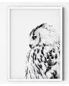 Plakát OWL nr.1