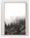 Plakát FORESTY