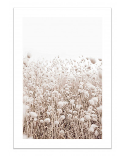 Plakát PALE SAND nr.2