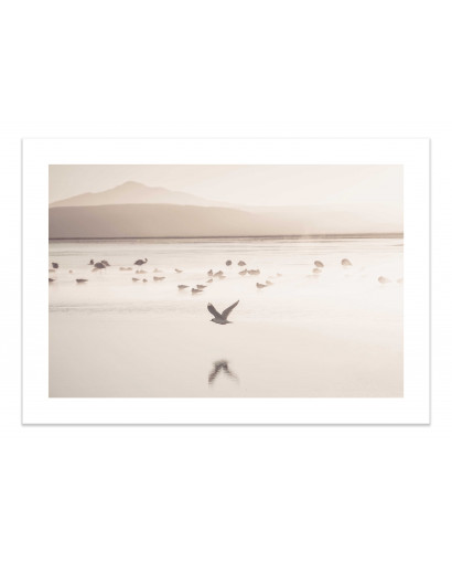 Plakát PALE SAND nr.3