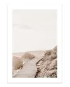 Plakát PALE SAND nr.5