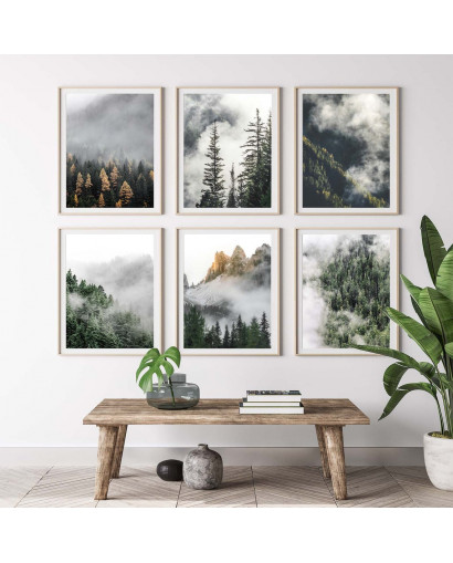 Sada plakátů FORESTRY