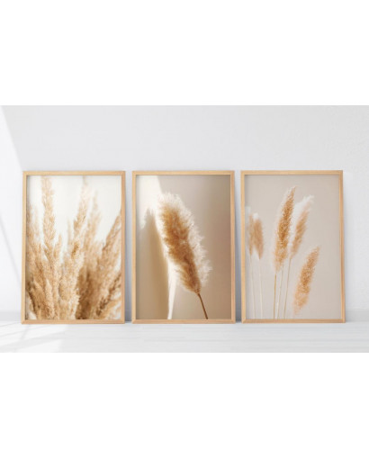 Sada plakátů GRASSY