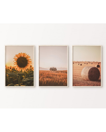 Sada plakátů SUMMER SUNSET