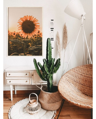 Plakát SUMMER SUNSET nr.1