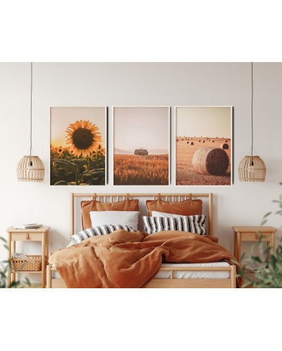 Plakát SUMMER SUNSET nr.2