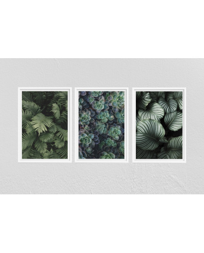 Sada plakátů GREENIE