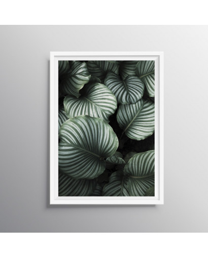 Plakát GREENIE nr.2