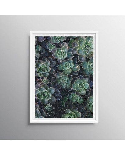 Plakát GREENIE nr.3