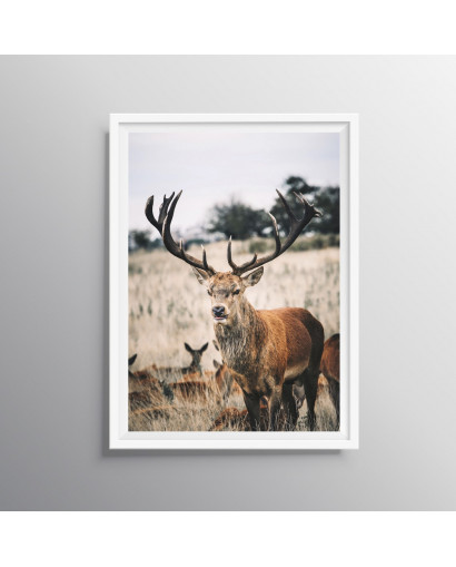 Plakát WINTER WOODS nr.1