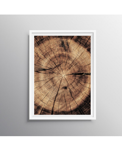 Plakát WINTER WOODS nr.2