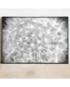 Sada plakátů BLACK DANDELION picture wall