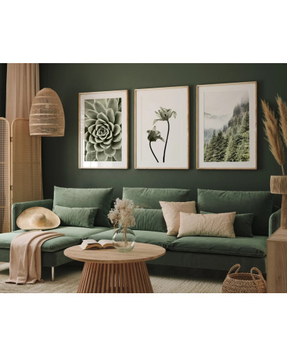 Sada plakátů GREENIES