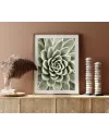 Plakát SUCCULENT