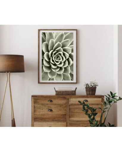 Plakát SUCCULENT