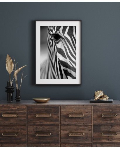 Plakát ZEBRA