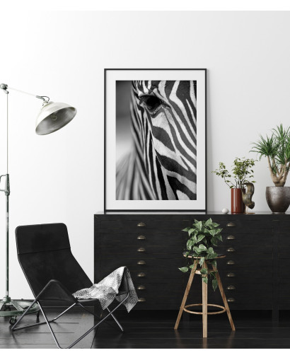Plakát ZEBRA