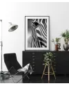 Plakát ZEBRA