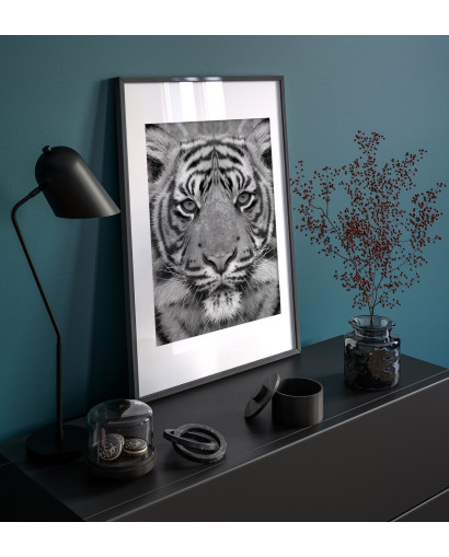 Plakát TIGER