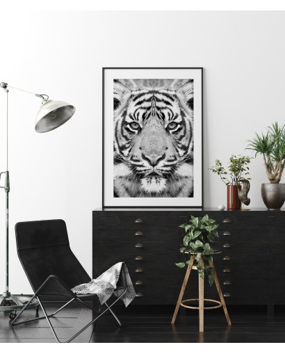 Plakát TIGER