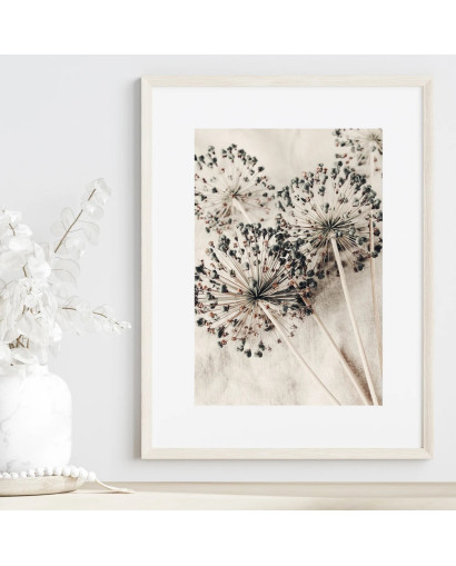 Plakát BEAUTY ALLIUM