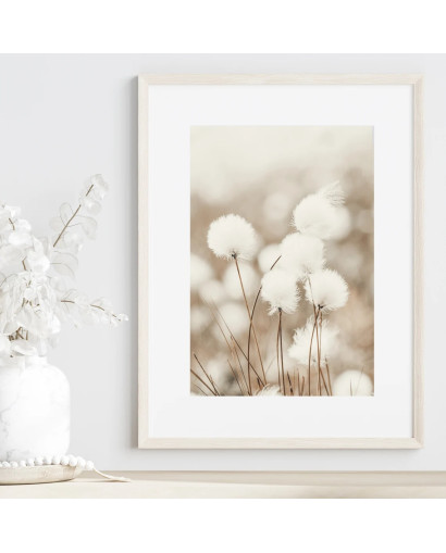 Plakát COTTON FLOWERS