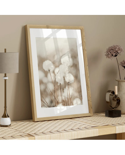 Plakát COTTON FLOWERS