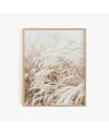 Plakát AUTUMN GRASS