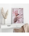 Plakát SILK PEONY