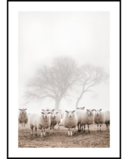 Plakát STÁDO OVCÍ
