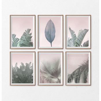 Sada plakátů PALM LEAF