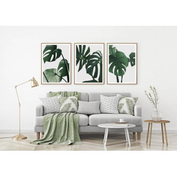 Sada plakátů MONSTERA
