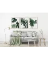 Sada plakátů MONSTERA