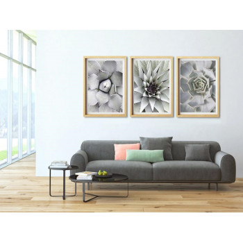 Sada plakátů CACTUS