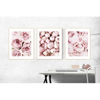 Sada plakátů PEONY