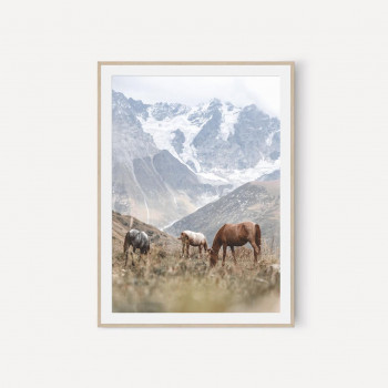 Sada plakátů HIGHLAND