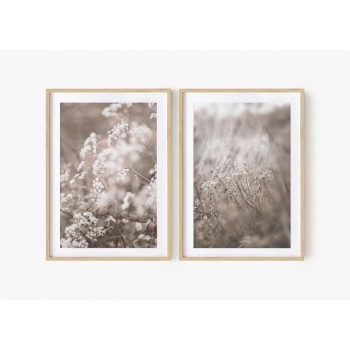 Sada plakátů FIELD