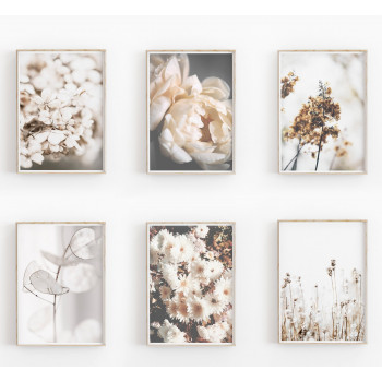 Sada plakátů CPD collection...