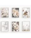 Sada plakátů CPD collection DRIED FLOWERS
