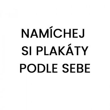 PLAKÁTY NA PŘÁNÍ - NAMÍCHEJ...