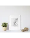 Plakát Dandelion | pampeliška