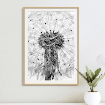 Plakát DANDELION nr.3