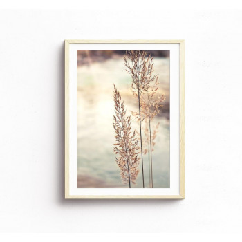 Plakát FIELDISH nr.2