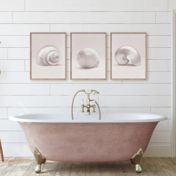 Sada plakátů SHELLS