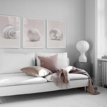 Sada plakátů SHELLS